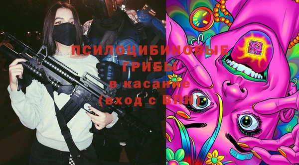 спиды Алзамай