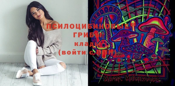 амф Алексин