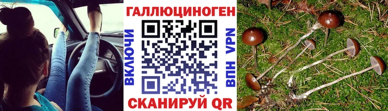 Галлюциногенные грибы мухоморы кракен ONION Омутнинск